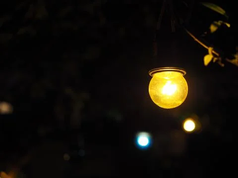Clear yellow light bulb hanging in dark night tree 库存照片