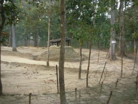 A clearance in the forest Stock Photos