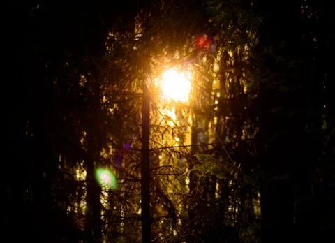 Clearance Stock Photos