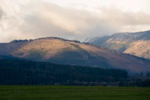 Clearcut, destroyed forest in Slovakia Stock Photos