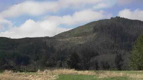 Clearcut Oregon Hillside over Cloudy River Valley with Hidden Cabin Stock Footage 22103129