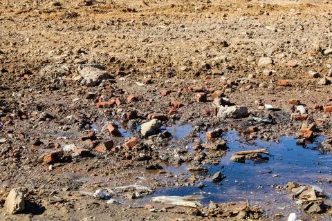 Cleared field for construction. Stock Photos