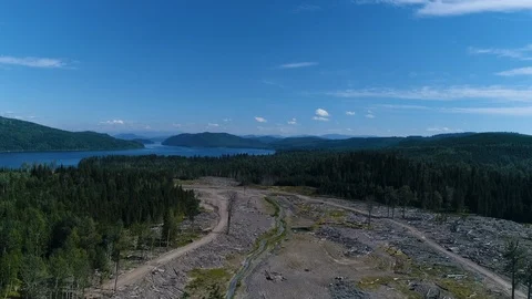 Cleared Forest And Lake Stock Footage 120853218