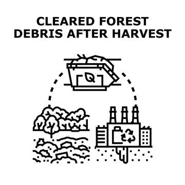 Cleared forest debris after harvest concept vector Stock Illustration