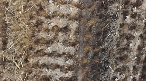 Cleared Forest Overhead Zoom Out Stock Footage 69059422