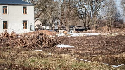 Cleared Land With Removed Tree Stumps Preparing Residential Construction Site Stock Photos