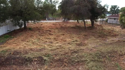 Cleared Lot with Sparse Trees and Nearby Street Activity Stock-Footage 333938943