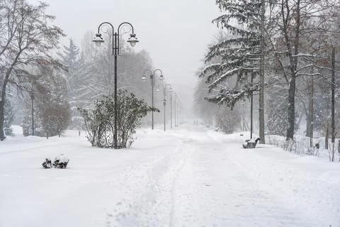 A cleared park path leading into the snowy distance, lined by antique street Stock Photos