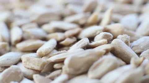 Cleared Sunflower Seeds 2 Stock Footage 43210824