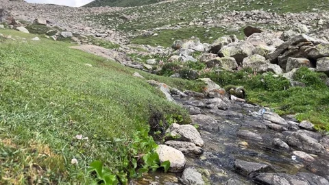 Cleared Water Stream Stock Footage 324072313