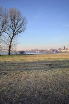 Clearing and a tree by the lakeshore Stock Photos