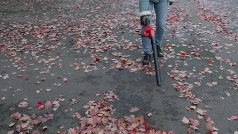 Clearing away leaves with a cordless leaf blower Stock Footage 327441390