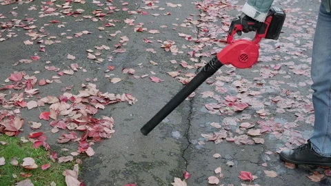 Clearing away leaves with a cordless leaf blower Stock Footage 327441418