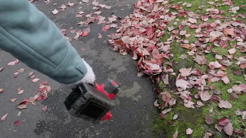 Clearing away leaves with a cordless leaf blower Stock Footage 327441438