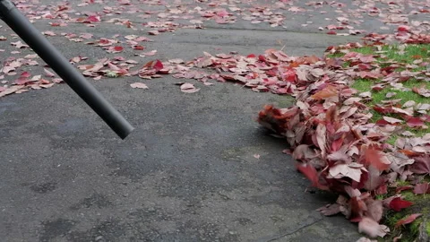 Clearing away leaves with a cordless leaf blower Stock Footage 327441448