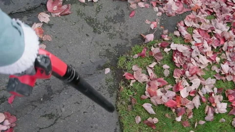 Clearing away leaves with a cordless leaf blower Stock Footage 327441480