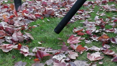 Clearing away leaves with a cordless leaf blower Stock Footage 327441507
