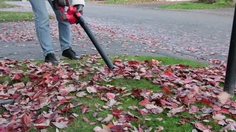 Clearing away leaves with a cordless leaf blower Stock Footage 327441514