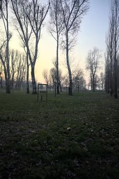 Clearing with bare trees in a park Stock Photos