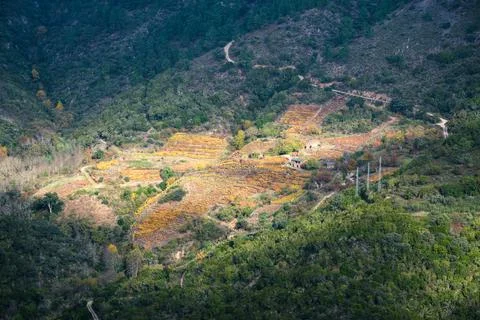A clearing between clouds illuminates vineyards and wineries Stock Photos