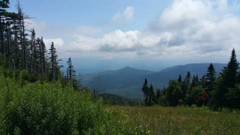 Clearing between valley of trees on the top of the mountain Foto stock