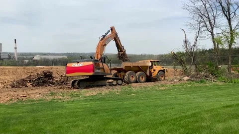 Clearing cut down trees at a construction site Stock Footage 153271609