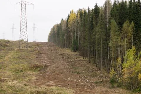 Clearing cut in forest so power lines lines could be put up. Stock Photos