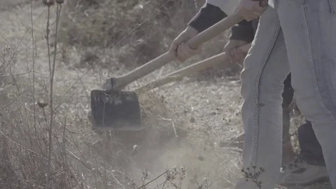 Clearing field of branches and thorns with gardening hoes Stock Footage 82231798