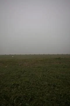 Clearing in the fog Stock Photos