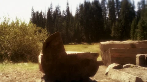 Clearing Stock Footage 32375384