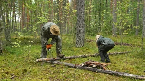 Clearing the forest of fallen tree trunks Video stock 318716310