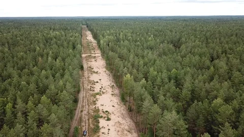 Clearing in the forest Stockbeeldmateriaal 125416506