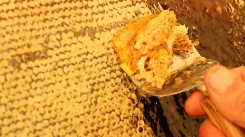 Clearing the frames with honey Video stock 86976490