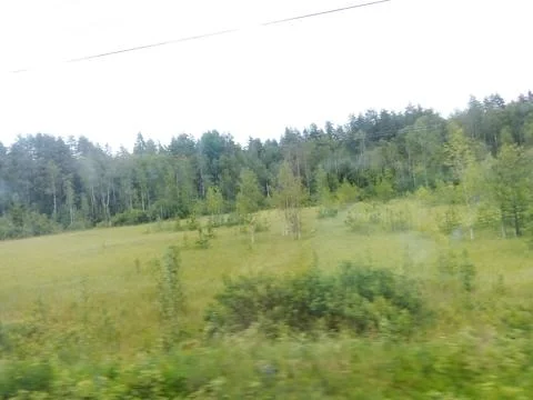 A clearing in front of the forest, view from a train window Stock Photos