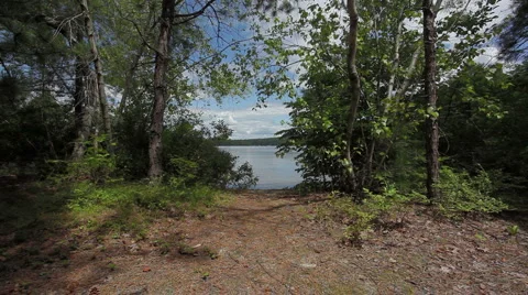 Clearing to lake Stock Footage 954711