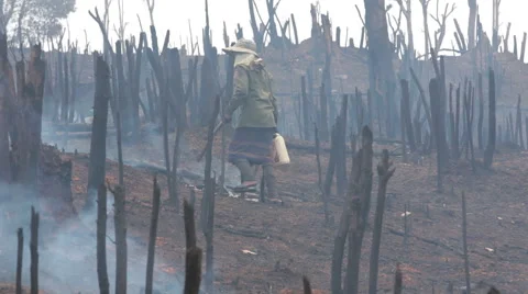 Clearing Land with Fire Vídeo Stock 63480693