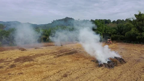 Clearing land Stock Footage 122580040