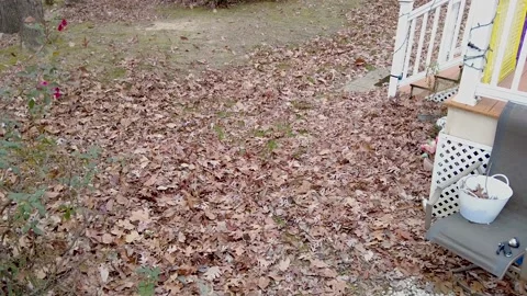 Clearing leaves with a leaf blower Stock Footage 144680196