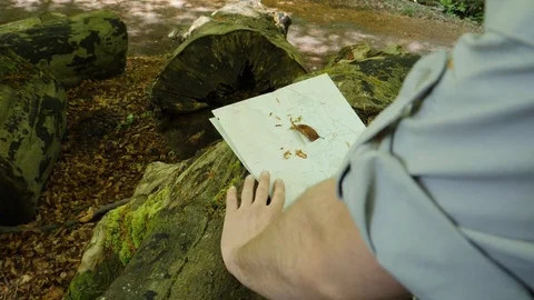 Clearing Leaves Of Map Stock Footage 91184409