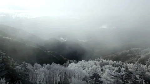 The Clearing Misty Forest and Mount Tateshina and the Yatsugatake Range Stock-Footage 330272507