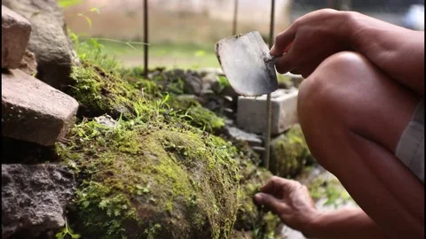 Clearing moss. Stock-Footage 235573843