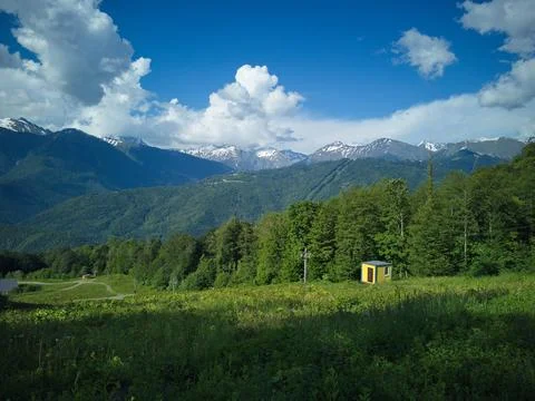 Clearing in a mountain forest 스톡 사진