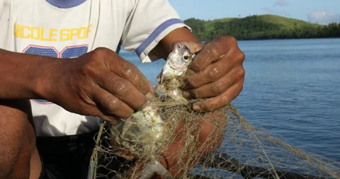 Clearing the Nets in the Philippines Stock Footage 279270196