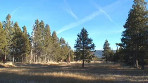 Clearing in North Tahoe Stock Footage 86170998