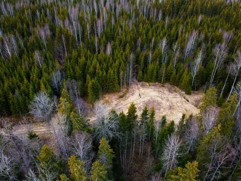 Clearing Stock Photos