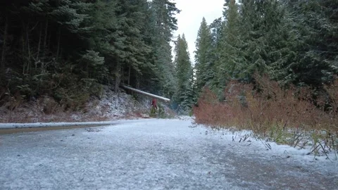 Clearing road with a chainsaw after winter storm Stock Footage 168151805