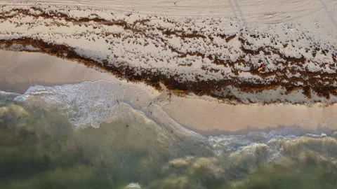 Clearing up seaweed on Mexican beach Stock Footage 276839304