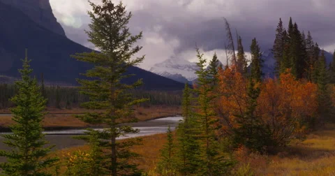 Clearing storm above the Saskatchewan River, its banks lined with fall colors 動画素材 59862361