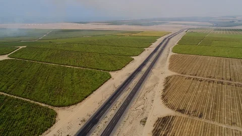 Clearing a sugar cane field in Peru in a desert. South America. AERIAL Video Stock Footage 113562099