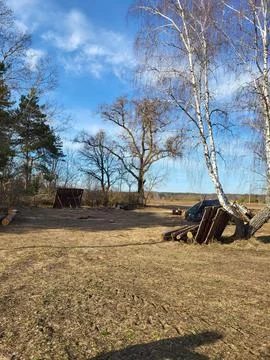 Clearing with Tree Stumps on Forest Edge Stock Photos
